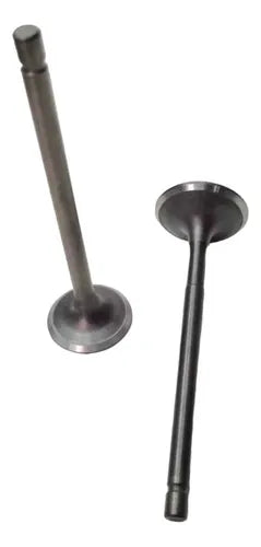 Valvula Par Suzuki AN125 5mm