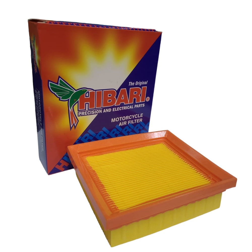 Filtro de Aire Motorrad 150
