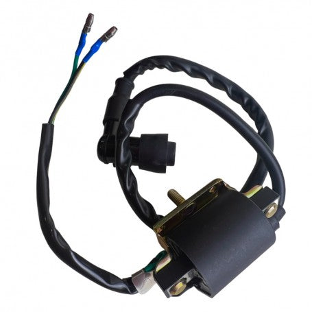 Bobina alta BICIMOTO 49CC JD 70 ATV