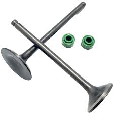 Valvula Motor Con Retenes RACER 250 TTX 250 5.5 MM