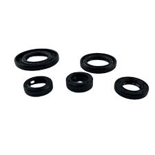 Kit Retenes Motor YBR125 XTZ125