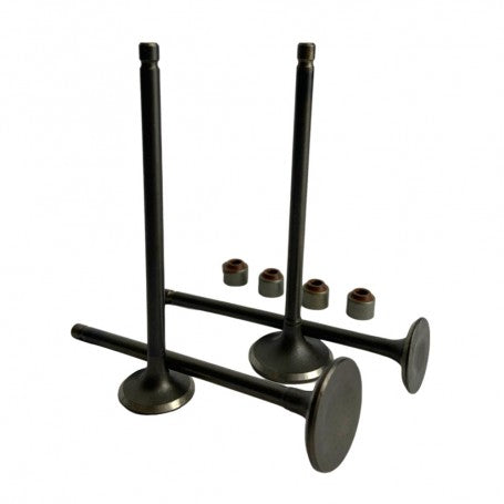 Valvula Motor Con Retenes NS 160 NS 150 PULSAR