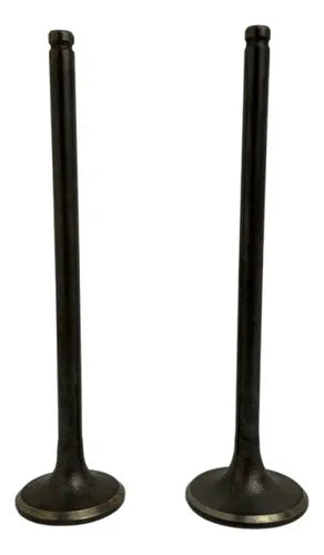 Valvula Par Admision GN125