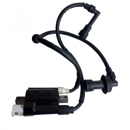 Bobina alta Doble Bujia NS 200 PULSAR