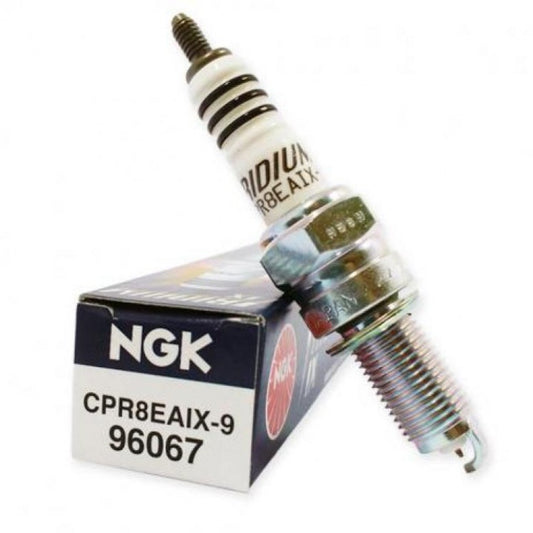 BUJIA NGK CPR8EAIX9