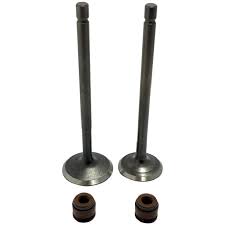Valvula Motor Con Retenes AN125