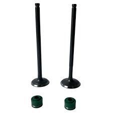 Valvula Motor Con Retenes GN125 EN125