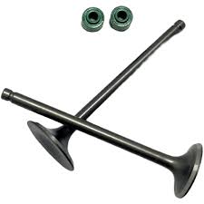 Valvula Motor Con Retenes GN 5.5mm